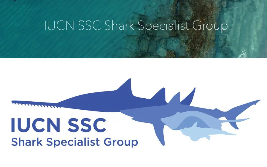 IUCN SSC Specijalizirana skupina za morske pse