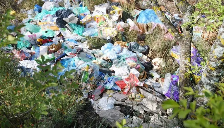 Zagađenje plastikom ugrožava budućnost