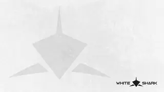 WS Screen 5