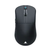 Souris