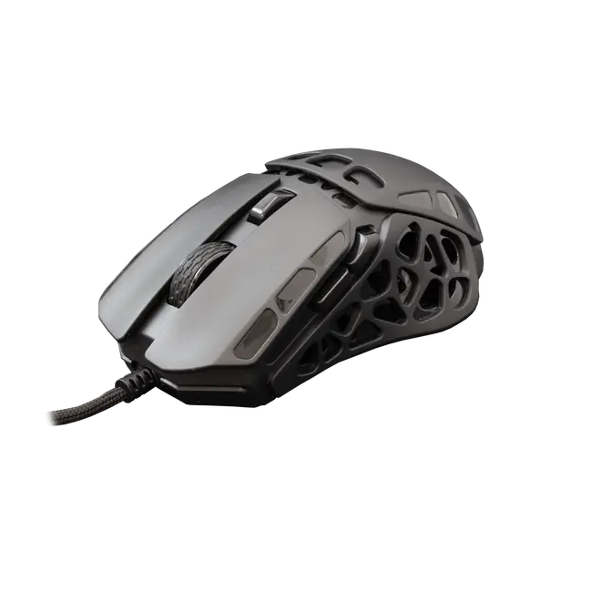 ECTOR