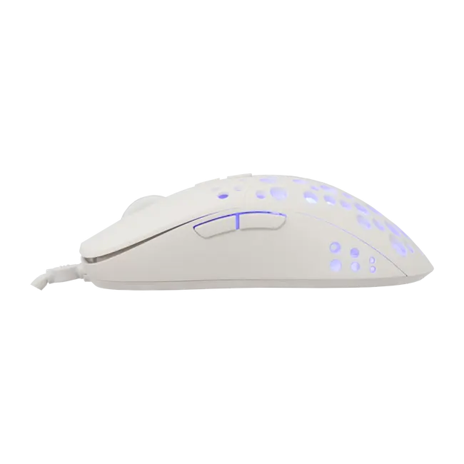 TRISTAN-2