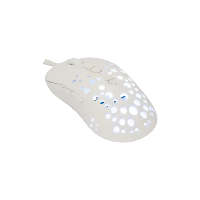 TRISTAN-2