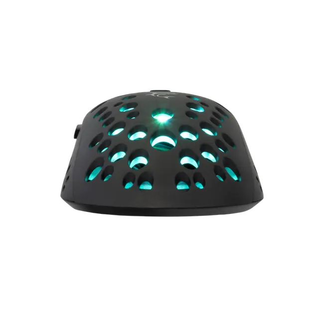 TRISTAN-2