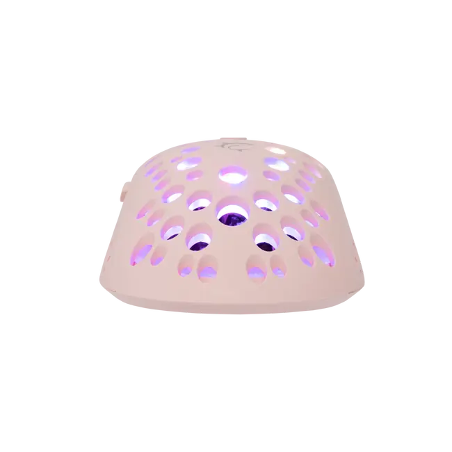 TRISTAN-2