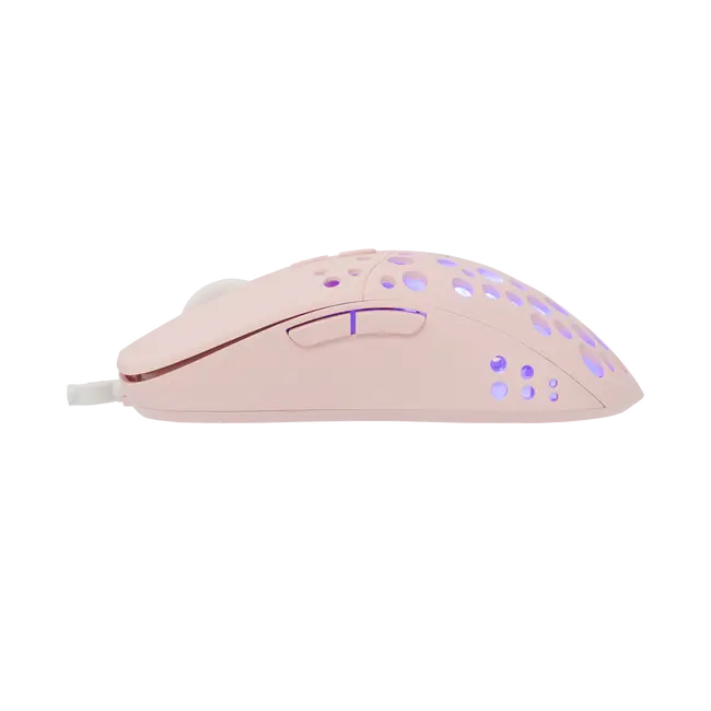 TRISTAN-2