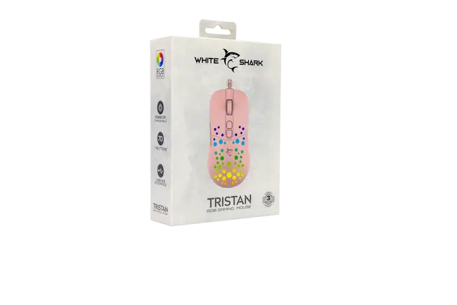 TRISTAN-2