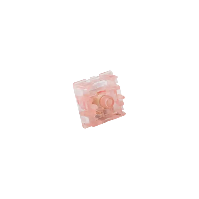 VENOM ROSE - 25