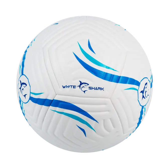 STRIKER