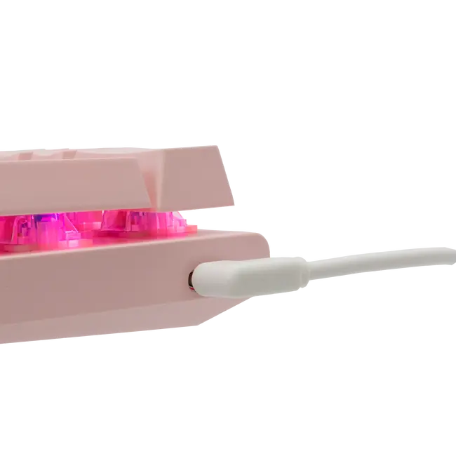 WAKIZASHI Rosa HR - blaue Schalter
