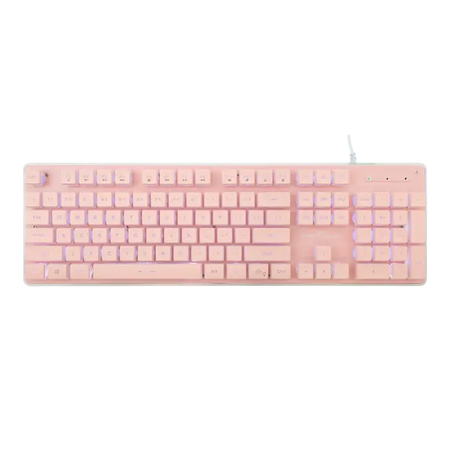 TACHI Rosa