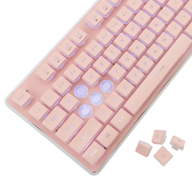 TACHI Rosa