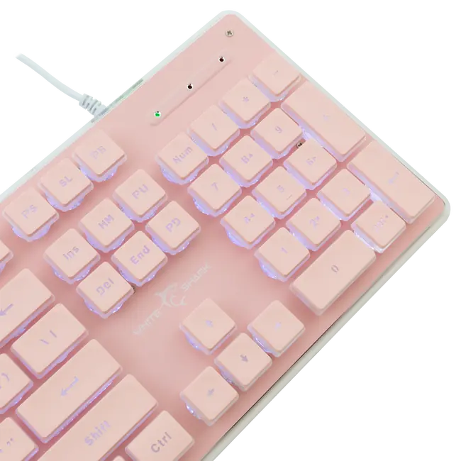 TACHI Rosa
