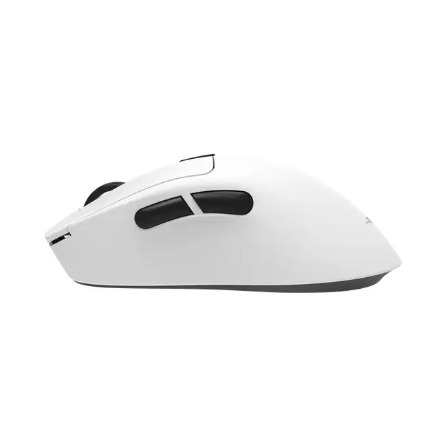 TOR
