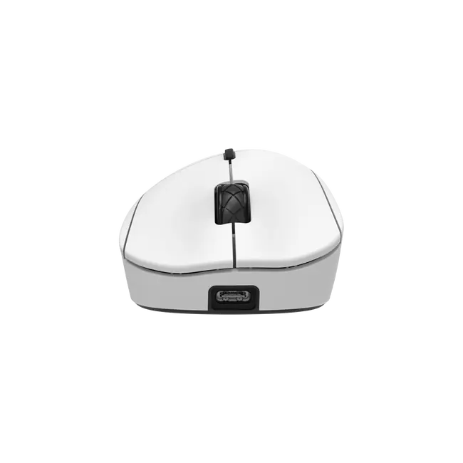 TOR