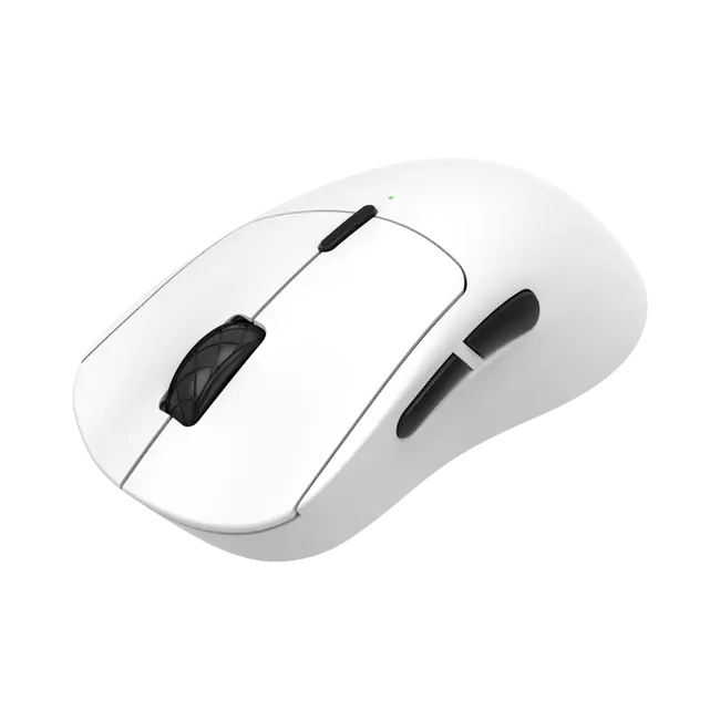 TOR