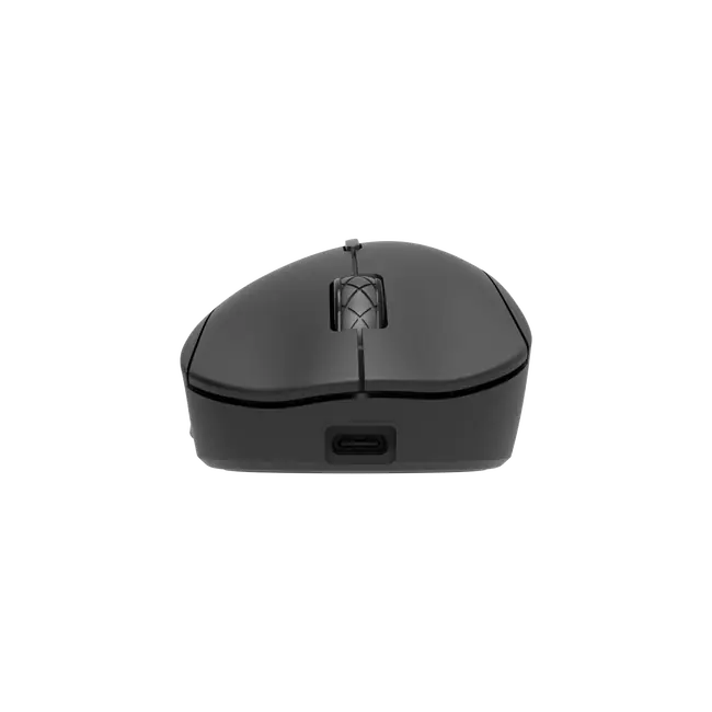 TOR