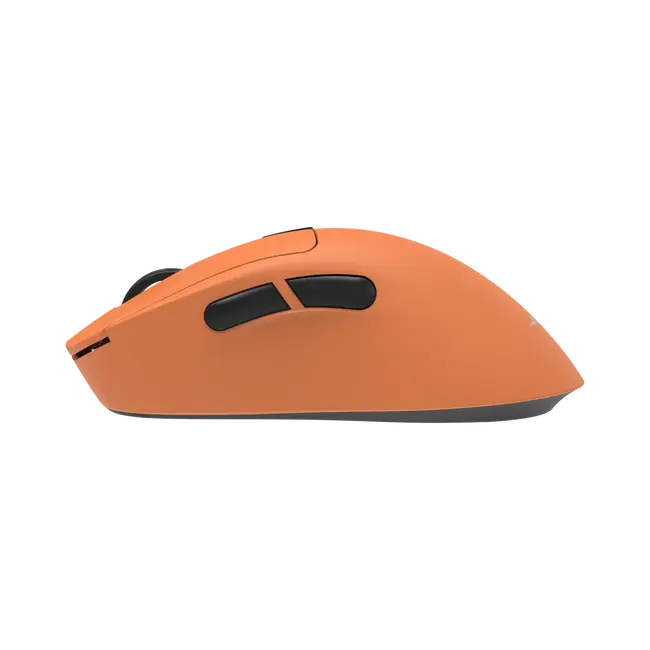 TOR
