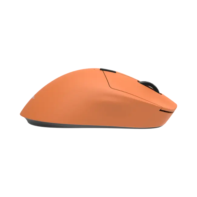 TOR