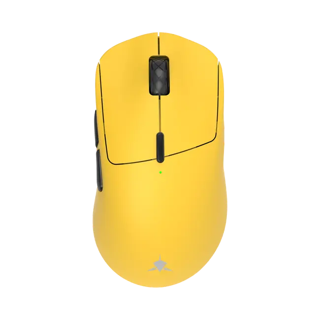 TOR