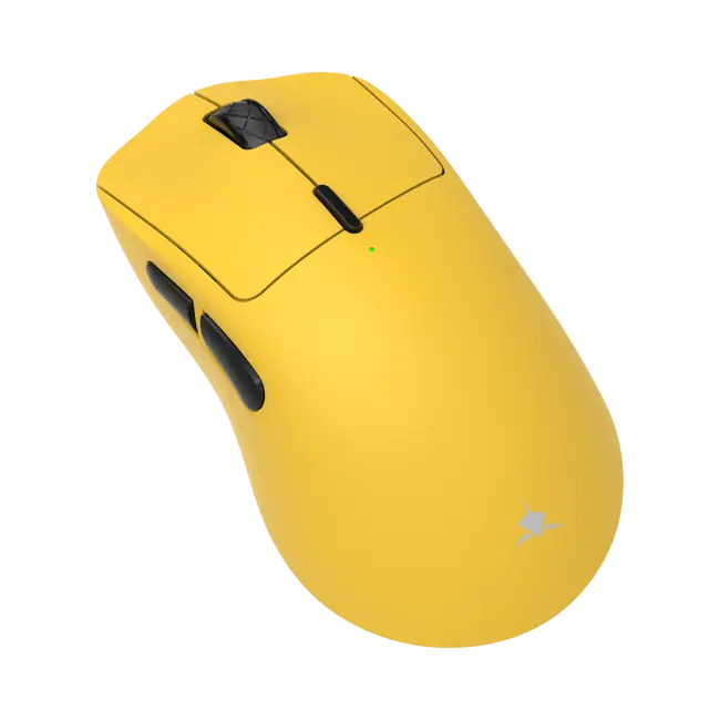 TOR