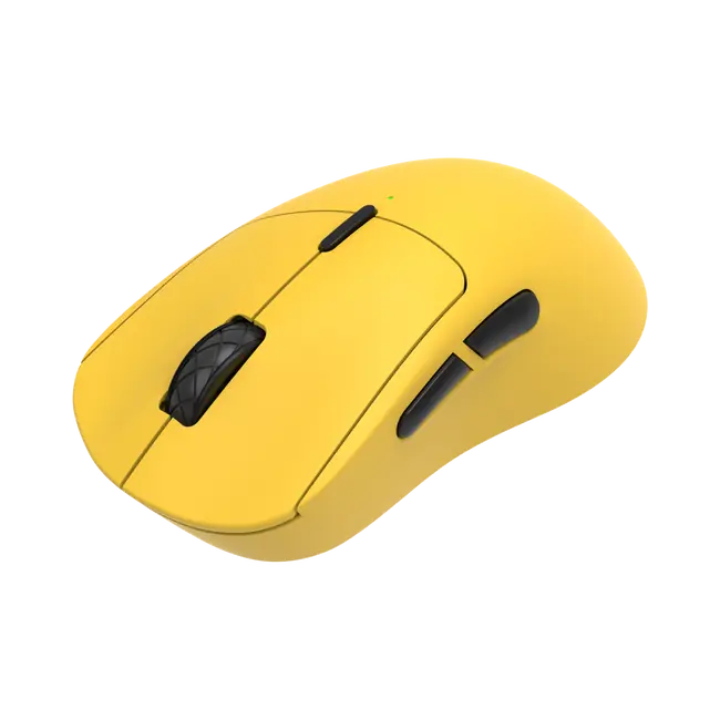 TOR
