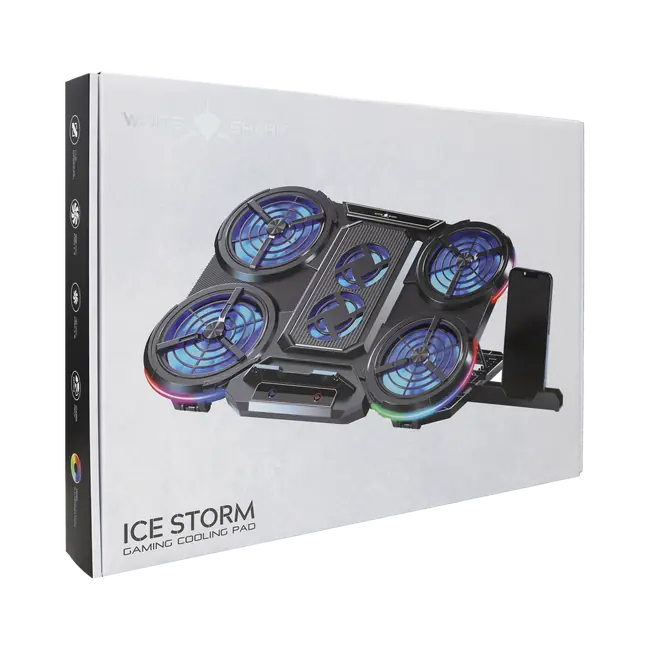 ICE STORM