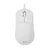 GRAPHENE