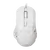 ECTOR