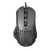 ECTOR