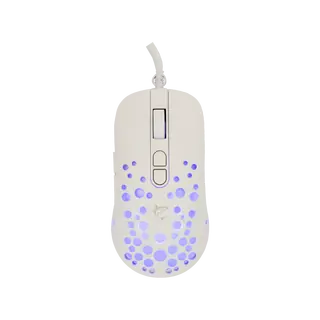 TRISTAN-2