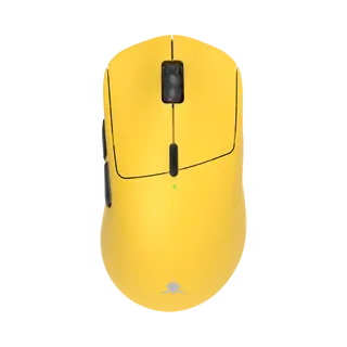 TOR