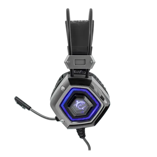 LION USB