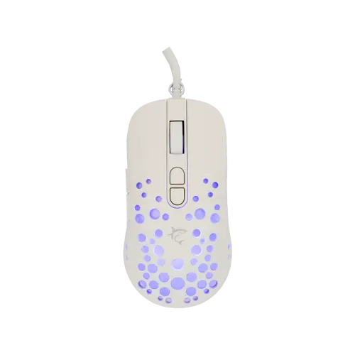 TRISTAN-2