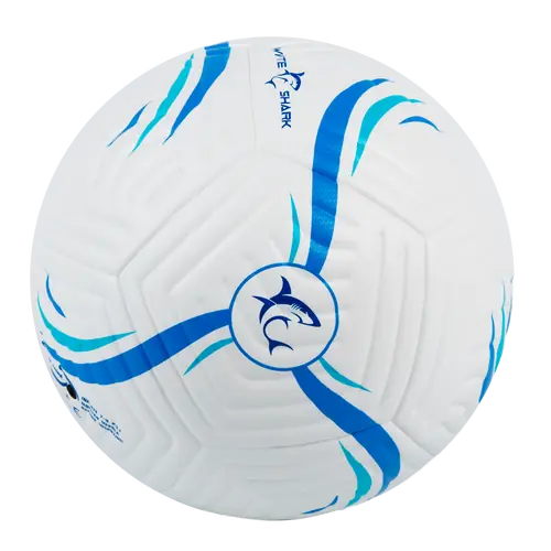 STRIKER