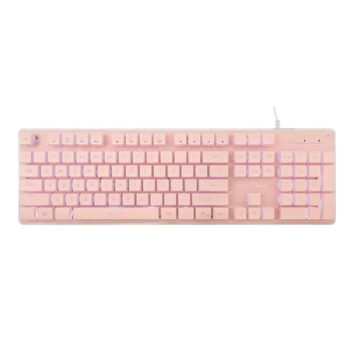 TACHI Rosa